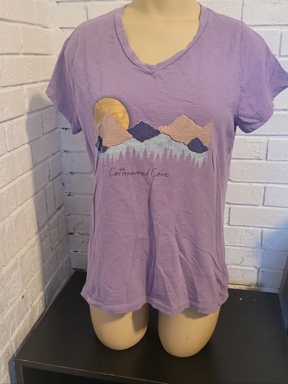 Prairie Mountain Women's Lavender V-Neck Graphic T-Shirt Cottonwood Cove Medium